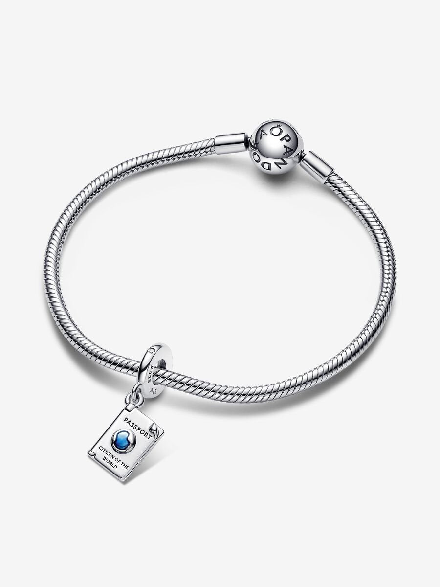 Citizen of the World Passport Charm